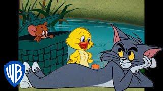 Tom y Jerry en Español  | La primavera se acerca | @WBKidsEspaña