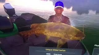 Fishing planet unique Gilded catfish (Marron River)