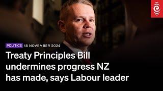 Treaty Principles Bill undermines progress NZ has made, says Labour leader | 18 November 2024 | RNZ