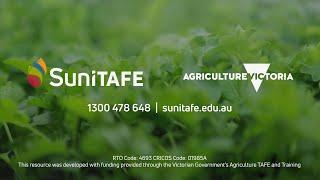 Cultivate your career - Protected Horticulture with SuniTAFE