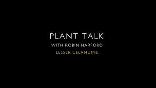 Plant Talk: The Past and Present Edible Uses of Lesser Celandine by Robin Harford