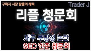 리플전망 [대응전략]재무 투명성 논란.SEC 인준 청문회.