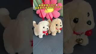 谁发明了这个电动小狗狗，会进会退，还会发出声音，宝宝看了一天了，还没看够，反正解放了大人双手#哄娃神器 #宝宝玩具 #喜爱度激励计划 #baby #cute