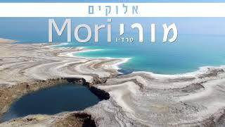 מורי טרדיו - אלוקים (קאבר) | בנאדיק הגרסה היהודית ● איכות וידאו 4K