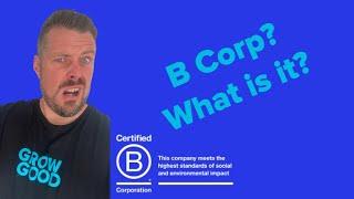 What is B Corp Certification?