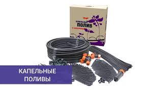 Прямой эфир. Первый городской канал в Кирове. 29.05.2023