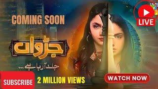 Judwaa - Episode 25 - 3rd Mar 2025 [ Aina Asif _ Adnan Raza Mir ] - HUM TV