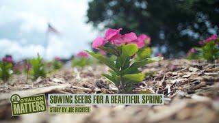 Seeding a Beautiful Spring | O'Fallon Matters