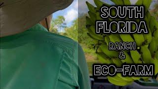 This South Florida Ranch Is Turning Into A FoodForest!