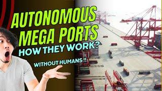 Autonomous ports - How they work?