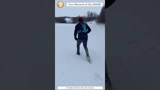 ScienceMan Moment of Zen 0498 #peaceful #winter #nature #trailrunning #forest #trees #asmr