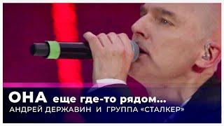 Андрей Державин - Она (Live "Большая рыба")