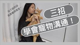 三招學會寵物溝通｜自學真的很難嗎？！