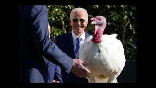 Presidential Turkey Pardons