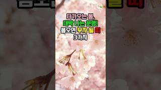 다가오는 봄, 대박 나는 운명! 봄오면 부자 될 띠 3가지 #대운 #로또 #재물운 #풍수