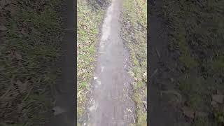 walk and talk ep31