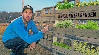 Building our Vertical Pallet Garden