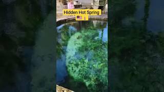 Hidden Hotspring | #shorts #travel #malaysia