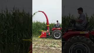 Small agricultural machine silage harvester farm equipment