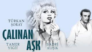 Çalınan Aşk Türk Filmi | FULL | TÜRKAN ŞORAY | TAMER YİĞİT | SADRİ ALIŞIK | RESTORASYONLU