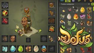 Session Zobal 200 DOFUS