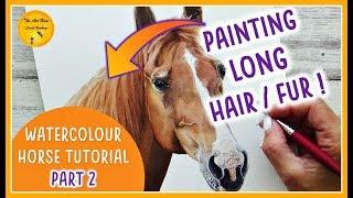 WATERCOLOUR HORSE painting TUTORIAL for beginners PART 2 | How to paint LONG HAIR/ FUR