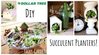 DOLLAR TREE DIY | SUCCULENT ARRANGEMENT AND PLANTERS