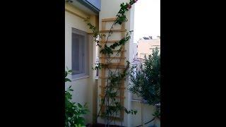 DIY reclaimed pallet wooden trellis how to Simply Make it ...