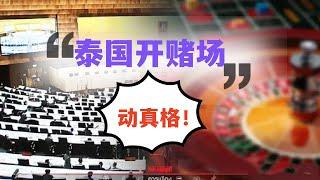 泰国真的要开赌场了？这回动真格的，你们会来吗？ ｜ 泰国黎叔说（第99期）