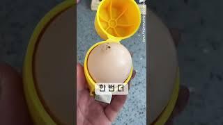 삶은 계란 쉽게 까기 이렇게                       
