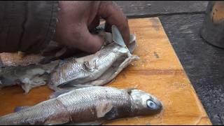 УХА на ТАЕЖНОЙ ПЕЧКЕ из жизни ОТШЕЛЬНИКА в ДЕВСТВЕННОЙ ТАЙГЕ camping, survival, bushcraft, поход