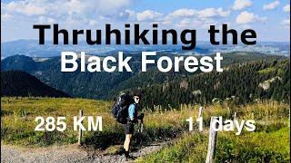 Thruhiking the Black Forest // Westweg 11 Days 285 km Basel to Pforzheim