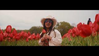 Enya - Summer Dancing (Official Music Video)