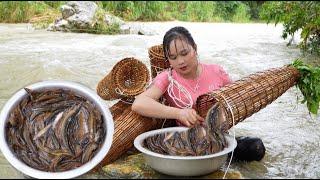 On a rainy day, a Vietnamese rural girl sets a trap to catch stream fish. Fishing skills