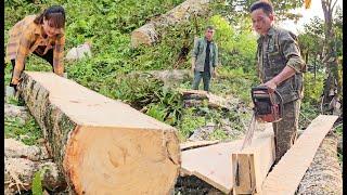 Cut wood and move wood. Preparing to build a new kitchen