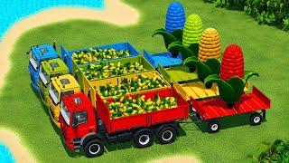 LOAD AND TRANSPORT MINI & GIANT CORN WITH RIGITRAC TRACTORS AND TATRA TRUCKS - Farming Simulator 22