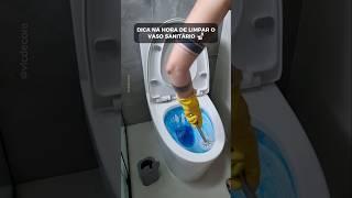 Dica na hora de limpar o vaso sanitário: deixe a vassourinha escorrendo!