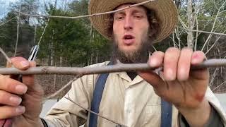 Homesteading: How to Prune Your Fruit  | Titus Morris