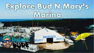 Exploring Bud n' Mary's Marina Islamorada Florida 