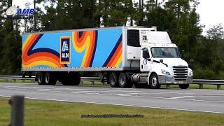 Freightliner Cascadia Aldi Truckspotting 91924