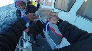 Porgy fishing On The Jamaica II Brielle NJ.