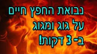  בול פגיעה - נבואת החפץ חיים על גוג ומגוג ב-3 דקות