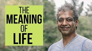 Naval Ravikant - What is The Meaning of Life?   3 Answers that Explain It