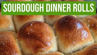 How to Make Sourdough Dinner Rolls - START TO FINISH