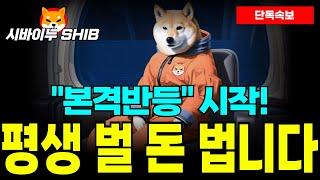 [시바이누 코인] "본격반등" 시작! 6배 급등 속보 나왔다! 1달러 현실로 도달한다! 오래 기다리셨습니다...