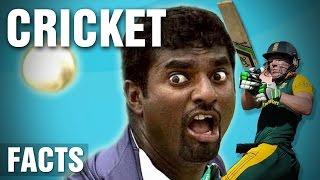 11 Amazing Facts About Cricket