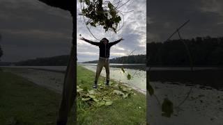 Букет рыбака для своих любимок #фишермания #рыбалка #youtube #shorts #любовь