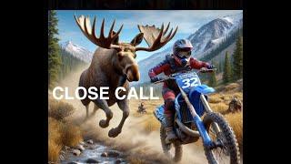 Dirt Biker vs Bull Moose: Who Wins?