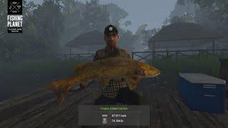 Fishing Planet - Maku-Maku Lake - Peru - Trophy Gilded Catfish