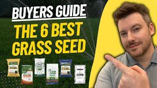 BEST GRASS SEED: Top 6 Grass Seeds (2023 Buying Guide)